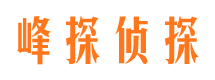 云城市场调查